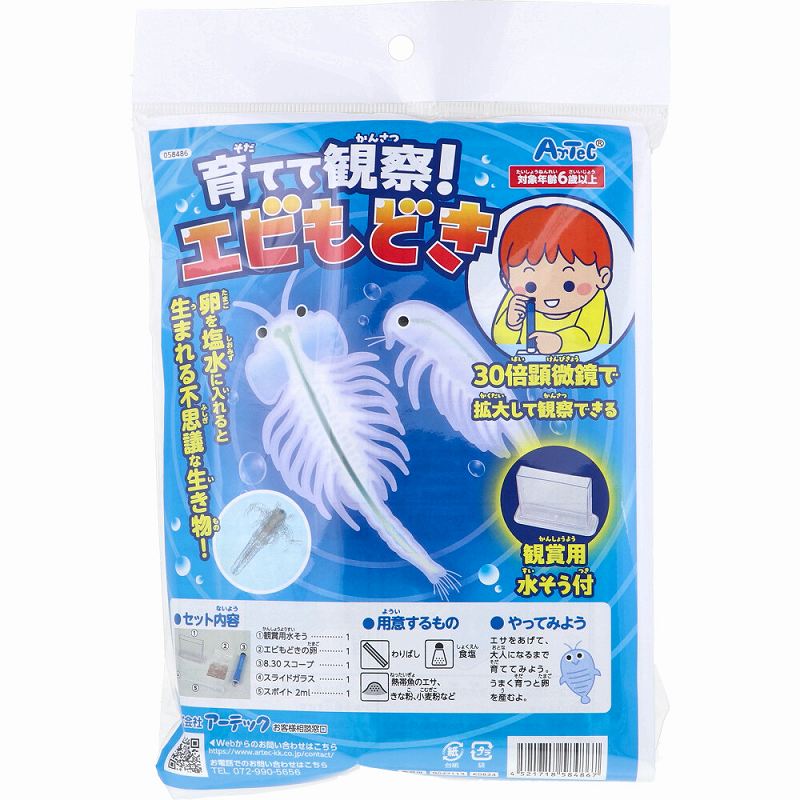 育てて観察！エビもどき 観賞用水そう付 1セット 工作 キット 小学校 手作りキット 小学生 男の子 女の子 子供 子供会 夏休み 手作り
