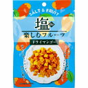 塩de楽しむフルーツ ドライマンゴー 20g ドライフルーツ マンゴー スイーツ ドライマンゴー カット ひとくちサイズ 塩 酸味 甘み おやつ お菓子 【2個までメール便】