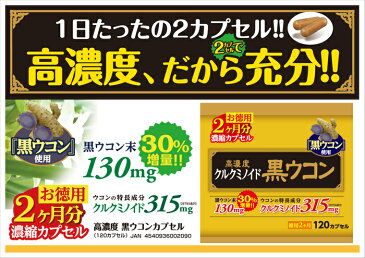 【おひとり様4個まで特価】高濃度黒ウコンカプセル（お徳用2ヶ月分120カプセル）ウコン サプリ カプセル 粒 錠剤 マカ クラチャイダム クラチャイダム ピュアカプセル 【BEE】【dec-3】【あす楽対応】