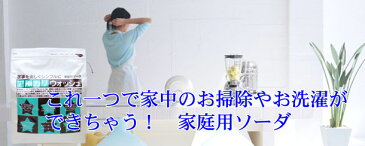 地の塩社 アルカリウォッシュ(3kg)(セスキ炭酸ソーダ)【プラチナショップ】【プラチナSHOP】