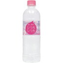 【送料無料】美いね!シリカシリカ(500mL)×24本中硬水...