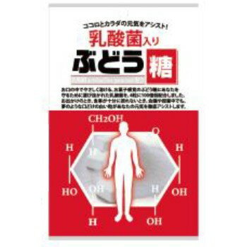 乳酸菌入りぶどう糖 20粒 ぶどう糖 乳酸菌 固形 お菓子 手軽 子供 大人 健康 食品