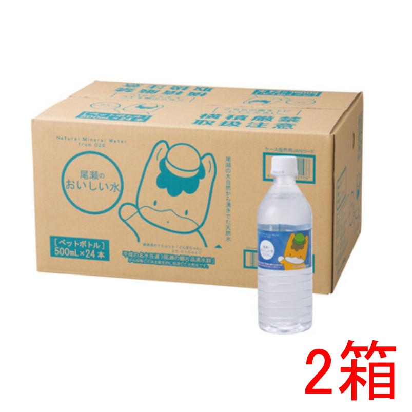 【送料無料】【2箱セット（合計48本）】尾瀬のおいしい水 ぐんまちゃん 500mL×24本 2箱セット（合計48本）【プラチナショップ】【プラ..