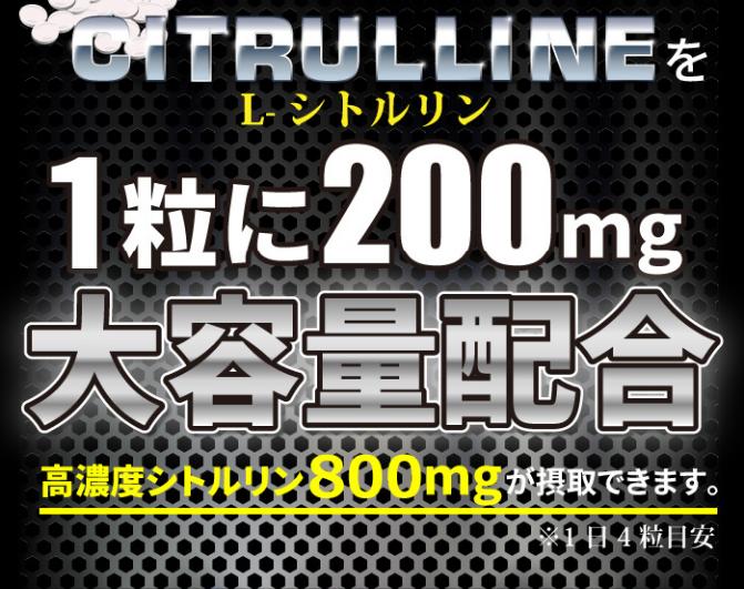 【送料無料】【3個セット】シトルリン+ENERGY 120粒×3個セット 合計360粒3ヶ月分シトルリン アルギニン マカ 亜鉛 シトルリン サプリメント シトルリン アルギニン 日本製 シトルリン アルギニン 亜鉛 【あす楽対応】【ポイントUP】