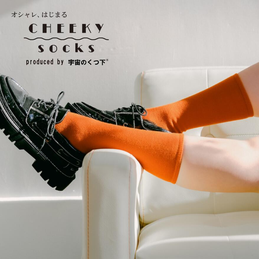 【選べる3足セット】CHEEKYsocks 銅線糸くつ下 Standardタイプ 23～25cm スタンダード デオドラント ソックス セイホウ 宇宙の靴下 消臭 制菌 保温性効果 高機能消臭 消臭靴下 宇宙靴下 宇宙く…