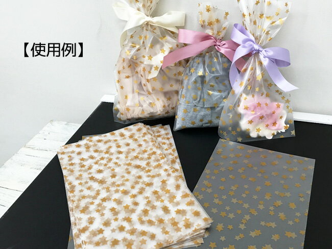 【メール便発送】シャチハタ ネームペン用ネーム 0781 亀山 X-GPS 0781 カメヤマ 00348780