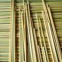 【虹色ライムギストロー(中長・極細)】国産/農薬不使用栽培/麦藁細工用麦わら/麦ストロー