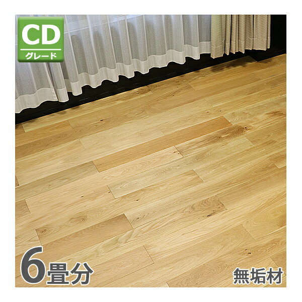 ̵ ե  ۥ磻ȥ ̵ CD졼  Ϥ 6Ȣ  6ʬ 10.94ʿ 96 W910...