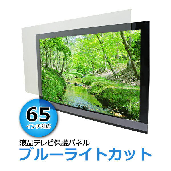 送料無料 ブルーライトカット 液晶テレビ保護パネル 65インチ UVカット 約横1460×奥行30×高さ850mm 眼に優しい テレビガード アクリル板 キャスト製法 65型 紫外線 クリア 保護パネル 液晶保護パネル テレビ 保護 tvpnuvnoml3mm65v 1