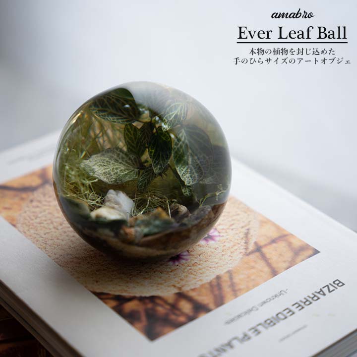 エバー リーフ ボール アマブロ Ever Leaf Ball amabro 植物 レジン オブジェ 球体 φ80mm ハンドメイド インテリア 雑貨 fittonia green red copper coin grass