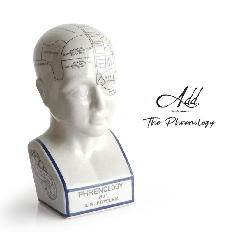 楽天PLAY DESIGN PLAYGoody Grams Add ザ フレノロジー グッディーグラムス The Phrenology 骨相学 ヘッドモデル オブジェ 磁器製 Lサイズ