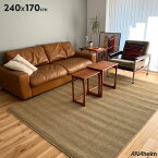 【 240×170cm 】 アナハイム サイザル ラグ ANAheim Sisal Rug “240×170cm” カーペット サイザル麻 サイザルアサ 【送料無料】【代引不可】