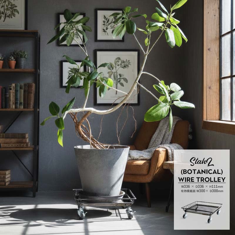 StahL BOTANICAL WIRE TROLLEY シュタール ボタニカル ワイヤー トロリー YARD 鉄 アイアン スチール 植物 キャスター 植木鉢 ディスプレイ