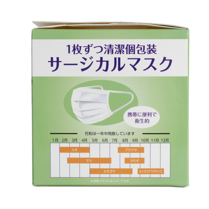 マスク マスク50枚 大人用サージカルマスク 使い捨てマスク 個包装 花粉 風邪 ウィルス ホコリ 3層フィルター構造 ふつうサイズ 白 ホワイト ブラック 黒 使い捨て ウイルス対策 飛沫対策 花粉対策 風邪予防 花粉 ハウスダスト 50枚入り 平ゴム