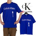 カルバンクライン ロゴ Tシャツ Calvin Klein Tシャツ ck Tシャツ ミント グレー レディース メンズ アメカジ ストリート S M L オー...
