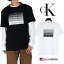 Х󥯥饤  T Calvin Klein T ck T    ǥ ᥫ ȥ꡼ S M L С ӥå륨å ץ쥼