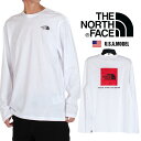 ザ ノースフェイス THE NORTH FACE 長袖Tシャツ ロゴ Tシャツ ロンT メンズ レディース ヒップホップ ストリート アメカジ 正規 ホワイト ...