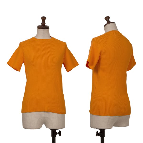 トリココムデギャルソンtricot COMME des GARCONS ポリ半袖リブニット オレンジM位商品コード：K-161324コンディションランクコンディション詳細前後・右袖に引っ掛け、前に薄シミがあります(写真参照)。 その他目立ったシミ、汚れ、ほつれ等なくいい状態です。クリーニング済み。サイズM位色オレンジ重量130素材ナイロン100%参考価格サイズ詳細裄丈32.5 cm身幅34.5 cm着丈56 cm袖丈(脇下〜袖口)7.5 cm詳細画像