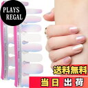 【送料無料】INCOCO インココ ネイルシール 貼るだけ マニキュア 硬化不要 ビューティー スリープ Beauty Sleep ラメ ハンド&フット兼用 速乾 ペディキュア 色:マルチ