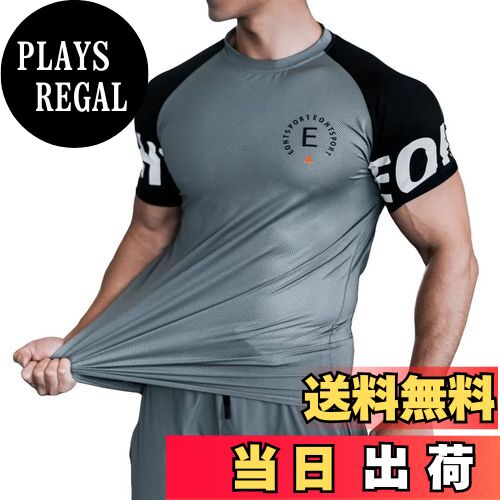 ̵[Anmur] ȥ졼˥󥰥 ȾµT  ۴® ݡĥ եåȥͥ ȥå 5281졼XL