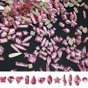 40個 バタフライネイルアートアクセサリー 蝶 ジルコン ネイルパーツ 可愛い ストーン キラキラ 透明 ネイルパーツ 小さい ラインストーン クリア キラキラ クリスタル ネイルアート パーツ 光沢のある ネイルストーン 人気 ネイルデザイン おしゃれ アクセサリー 色:E