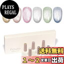 【送料無料】Fioutoマグネットネイル 大容量15ml ジェルネイル カラージェル フラッシュマグネットジェル 猫目ジェル UV/LED対応 磁石付き 6色セ...