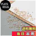 【送料無料】ネイル ラインストーン 100個セット 透明 色:シャンパン