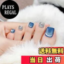 【送料無料】SEMTIM ネイルチップ 足 24枚入り 親指 ネイルシール 足 つけ爪 ネイル チップ フットネイル 繰り返し使える ジェルネイルチップ サマーネイル 夏 結婚式 成人式 足用ネイル 簡単 ネイル 剥がせる フット用 色:JZ-181、サイズ:free