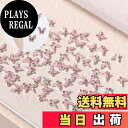 【送料無料】ネイル ラインストーン ラインストーン ネイル用 輝くそして透明な ネイルパーツ ストーン 立体 小さい ラインストーン クリア キラキラ ラインストーン ネイルストーン ネイルアート パーツ ジュエリー デコパーツ 人気 ネイルデザイン おしゃれ アクセサリーパ