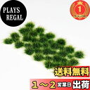 【送料無料】【楽天ランキング1位獲得】DFsucces 草 ジオラマ素材シリーズ 草むら・草丈10mm 情景コレクション グラス模型 DIY 建物モデル 装飾 風景 箱庭 鉄道模型 ジオラマ (濃い緑色)