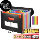 【送料無料】aninako ドキュメントファイル a4 ドキュメントボックス 【書類ケース 収納 13/25ポケット 大容量】拡張フォルダ ファイルボックス 防...