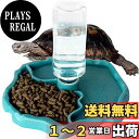 IKENOKOI爬虫類 食器 自動給水 餌入れ 水入れ 亀/トカゲ/蛇/やもりなど爬虫類専用(ブルー)