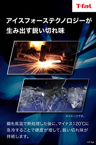 ティファール キッチンバサミ 料理ばさみ 分解 10年保証 キッチンシザーズ アイスフォース K18113 ブラック 10cm 3