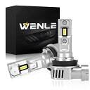 WENLE(ウエンレ) 新規 純正ハロゲンサイズ+爆光16000LM H8/H9/H11/H16共用 led ヘッドライト・フォグランプ 車検対応 バルブ キャンセラー 一体型 コンパクト 60W ホワイト 12V車対応(ハイブリッド車・EV車対応) 6500K ノイズなし 左右分2本入り