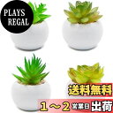 TOSSOW 人工多肉植物 ミニ 人工観葉植物 枯れない インテリア 4点セット 円形 プレゼント