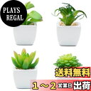TOSSOW 人工多肉植物 ミニ 人工観葉植物 造花 枯れない インテリア 4点セット 正方形 プレゼント
