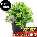 TOSSOW 人工観葉植物 フェイクグリーン 観葉植物 フェイク 造花 ミニ インテリア 小さいユーカリ