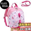 Vaschy リュック ベビー,赤ちゃ キッズ 子供 迷子防止ひも リード付き 幼児 バッグ 幼稚園 男の子 女の子 1-6歳 贈り物 ピック 恐竜