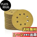 SPEEDWOX サンディングペーパー サンドペーパー 100枚 粒度 #100 穴あり マジック式 紙やすり φ125mm セット 研磨 サンダー用 丸型 デ...