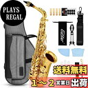 Eastar アルトサックス サックス 12点セット bE Eフラット Saxophone ゴールドラッカー サクソフォン ケース付き お手入れセット 彫刻入り 初心者 サックス 入門セット