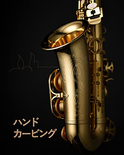 ������̵����Eastar ����ȥ��å��� ���å��� 12�����å� bE E�ե�å� Saxophone ������ɥ�å��� �������ե��� �������դ� �������쥻�å� Ħ������ �鿴�� ���å��� ���祻�å�