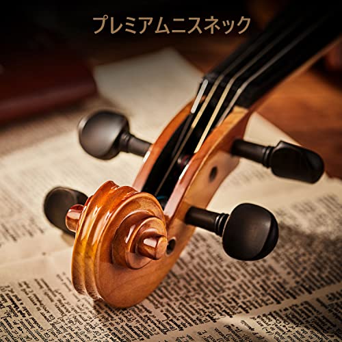 ������̵����Eastar�Х������ 4/4 ñ�� ����å� �Х�����󥻥å� ��2�� �鿴�Ԥˤ���ΥХ�������ռԤˤ� EVA-330