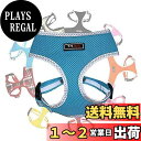 THAIN 小型犬 ハーネス 猫 ベストハーネス 犬 ハーネス 胴輪 小型犬 ペット用品 3M反射材料 訓練 ナイロン製 犬 ハーネス に向け 通気性 調節可能 (XS, ブルー反射)