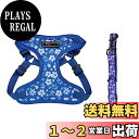 THAIN ハーネス&リードセット 小型犬 胴輪 小型 ベストハーネス 犬 抜けない おしゃれ ハーネス ひっぱり防止 猫 ハーネス かわいい 小型犬 ハーネス 軽量 リード 犬 メッシュ地 通気性いい 犬ハーネス 花柄(XS 青)