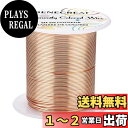 BENECREAT 30m線径0.8mmアクセサリーワイヤー 銅線 アートワイヤー 光沢感 変色防止 ジュエリー作り ビーズクラフト 細い銅線 手芸素材(銅色)