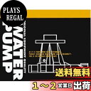 HITACHI(日立)ウォーターポンプ V3-098