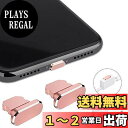 VIWIEU Lightning 保護キャップ iPhone 14 13 12 11Mini Plus Pro Max 対応 精密アルミ製で が 超耐久防塵プラグ、ライトニング充電口 コネクタ端子保護 ジャックカバーiPhone X Xs Max Xr 8 7 6S iPad mini Airpods対応 2個(ローズゴールド) 紛失防止プラグホルダーと収