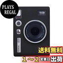 Rieibi mini evoケース、フィルム mini Evoケース evoケース mini evo保護カバー エボ用 レイシ模様シリコン製 滑り止め マット...