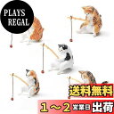 KALOLINNA 釣り猫 5点セット 子猫釣り置物 猫フィギュア 樹脂 リアル 猫釣り ミニ 和風 癒し懸垂装飾品 雰囲気作り 魚の水槽 水族館 庭 雑貨 オフィス 装飾