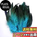 BTtime 天然 羽根 100枚 装飾用 DIY ジュエリー 羽シャワー フェザーシャワー 結婚式 飾り 誕生日 パーティー 演出 工芸品 ヘアアクセサリー ...